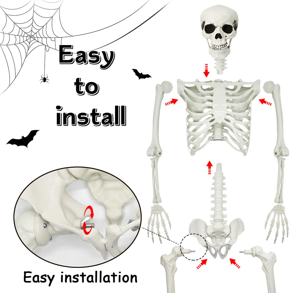 5.4Ft Posable Halloween Skeleton with Dog Cat Skeleton I800
