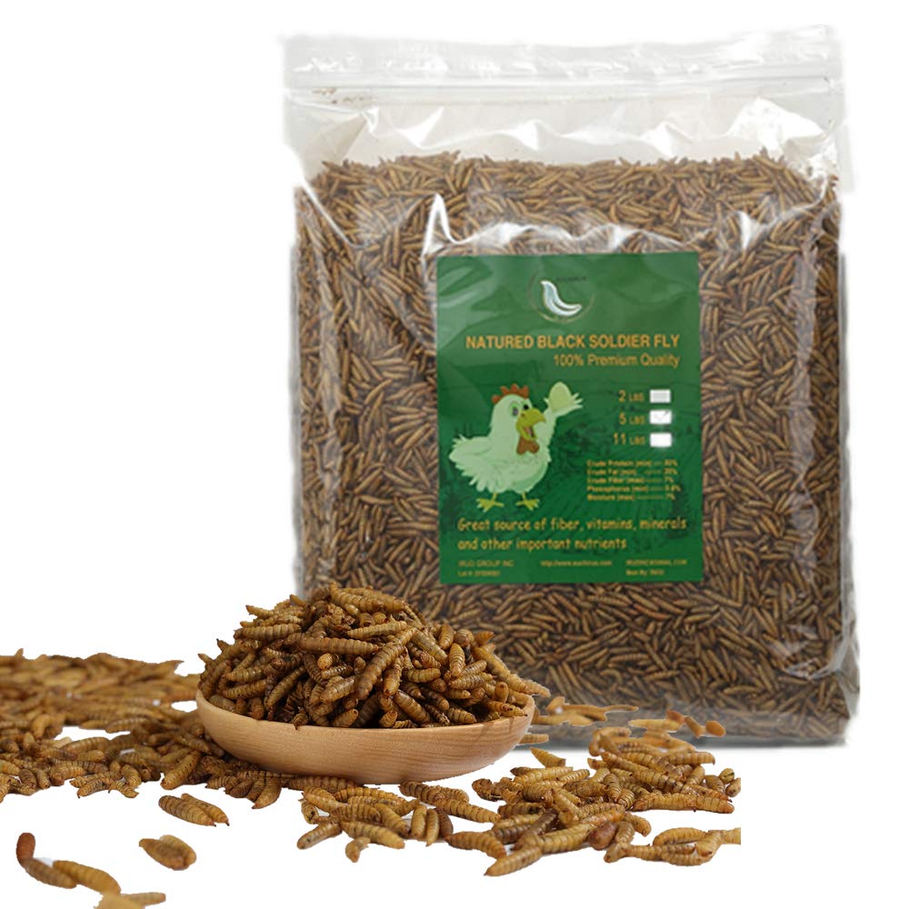 20LBS Black Soldier Fly Larvae Treats for Birds Chickens G685671