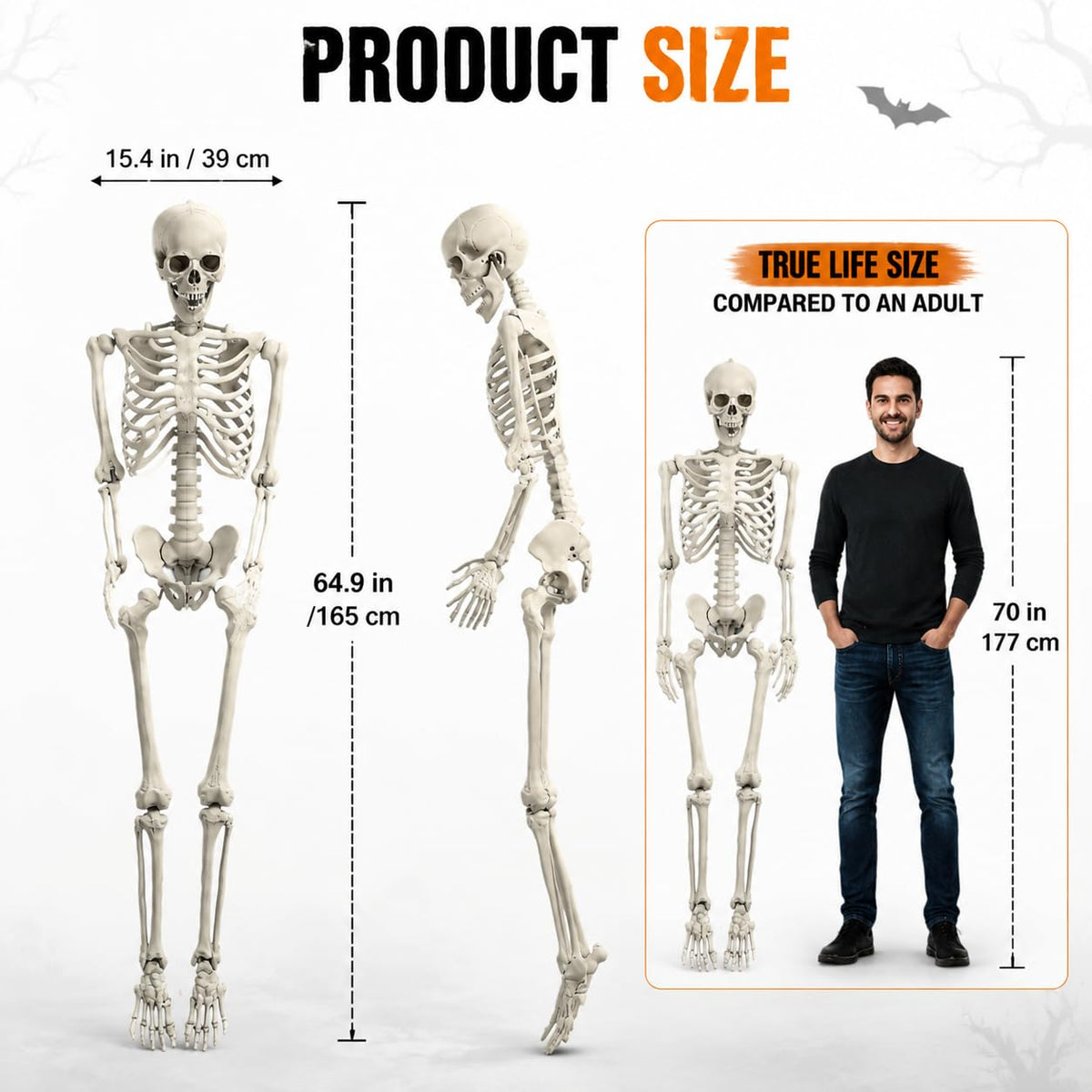 5.4 FT Poseable Skeleton E50100