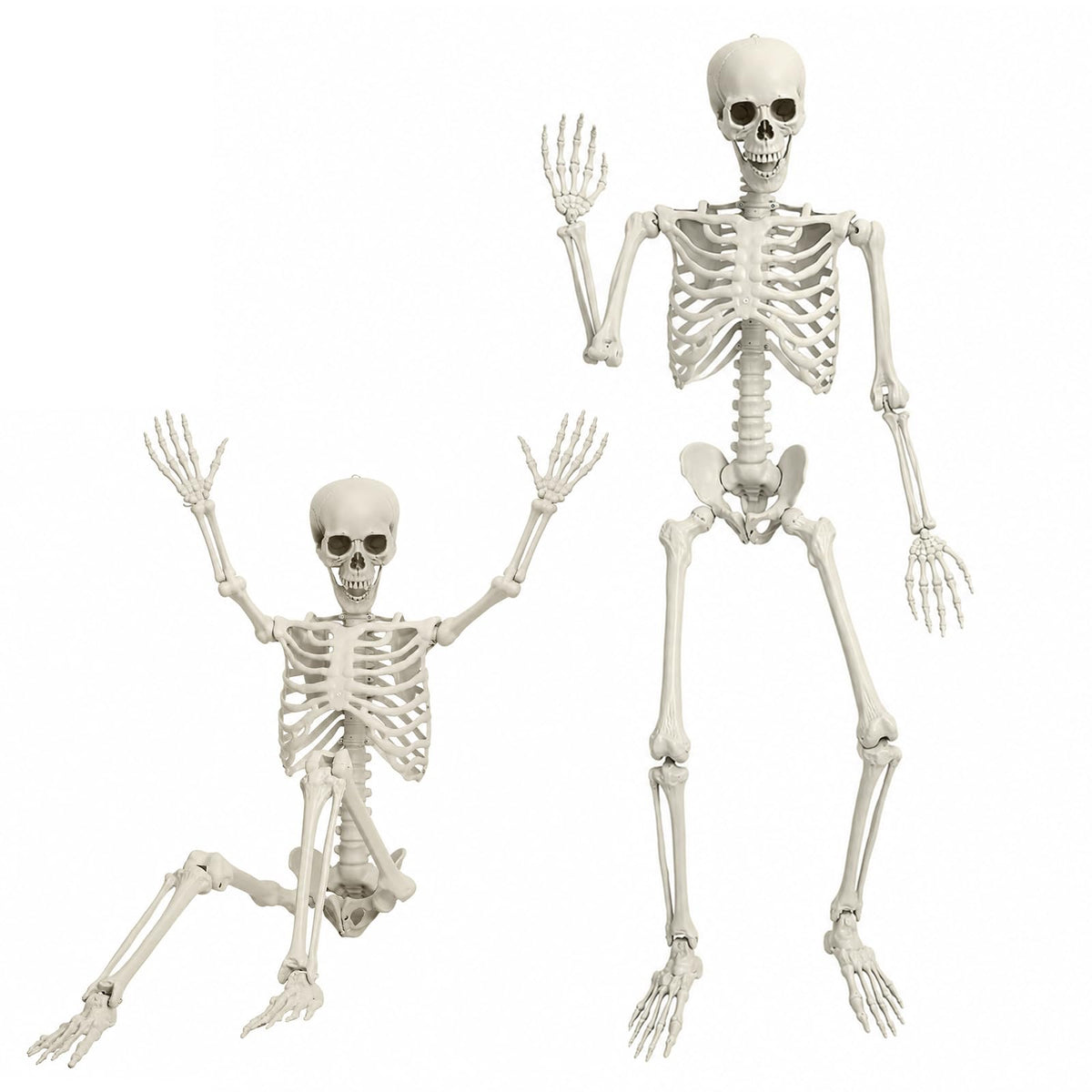5.4 FT Poseable Skeleton E50100