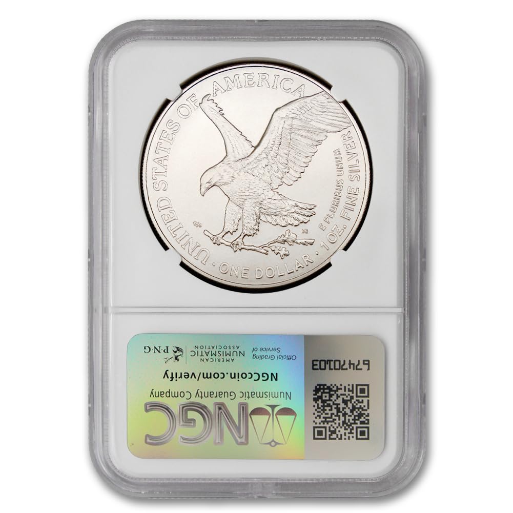 1 oz American Silver Eagle Coin C13973