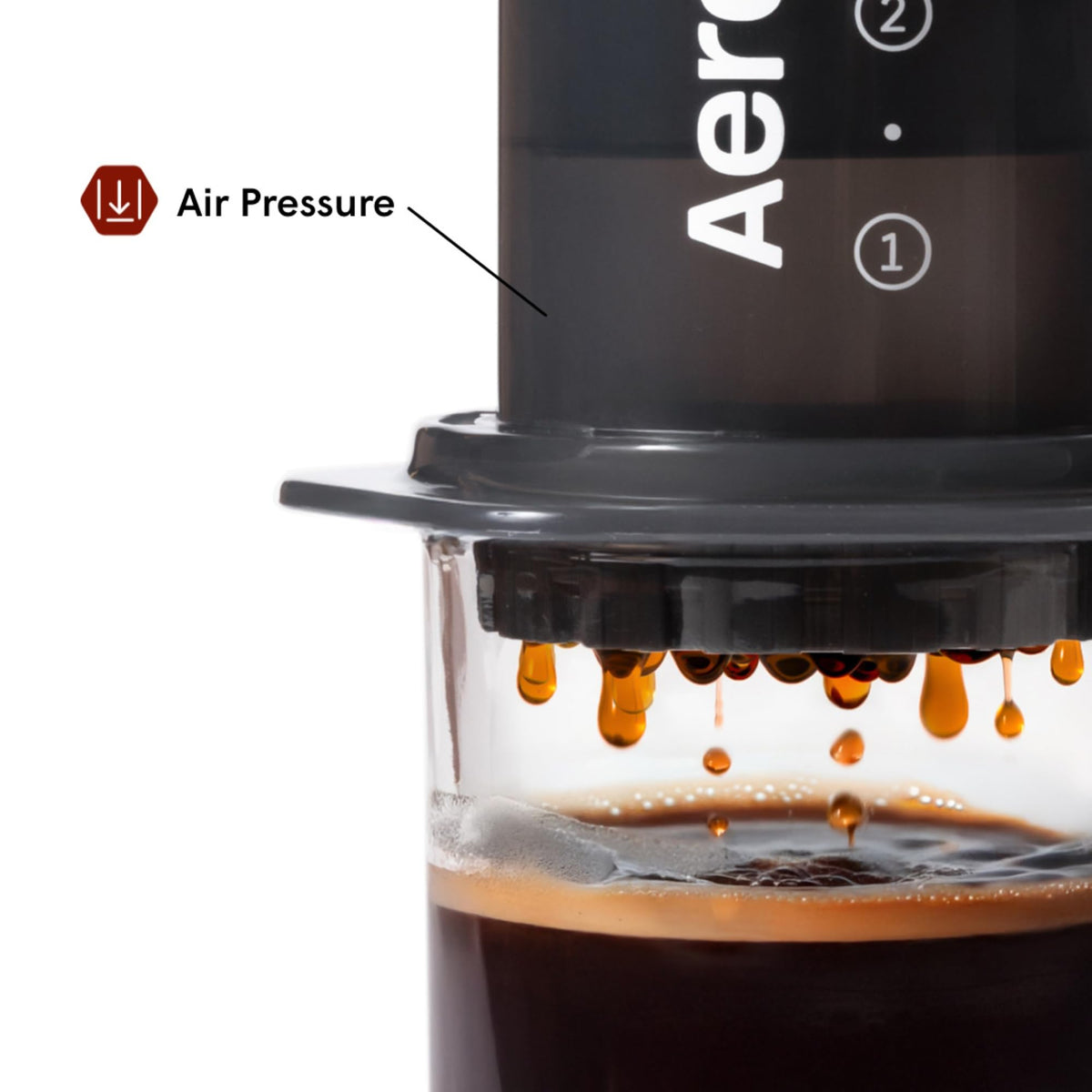 Coffee Press Z784
