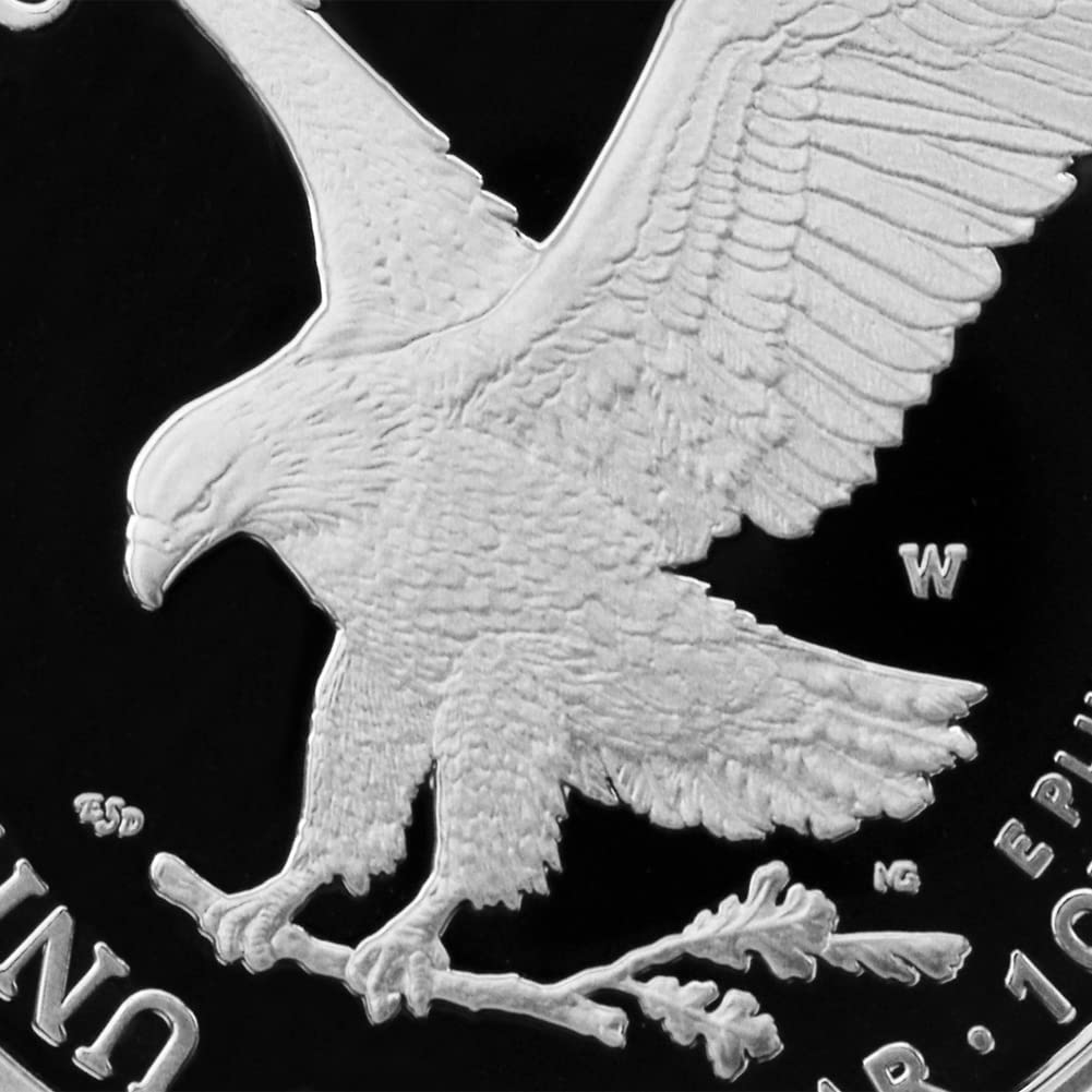 1 oz American Silver Eagle Coin B95026
