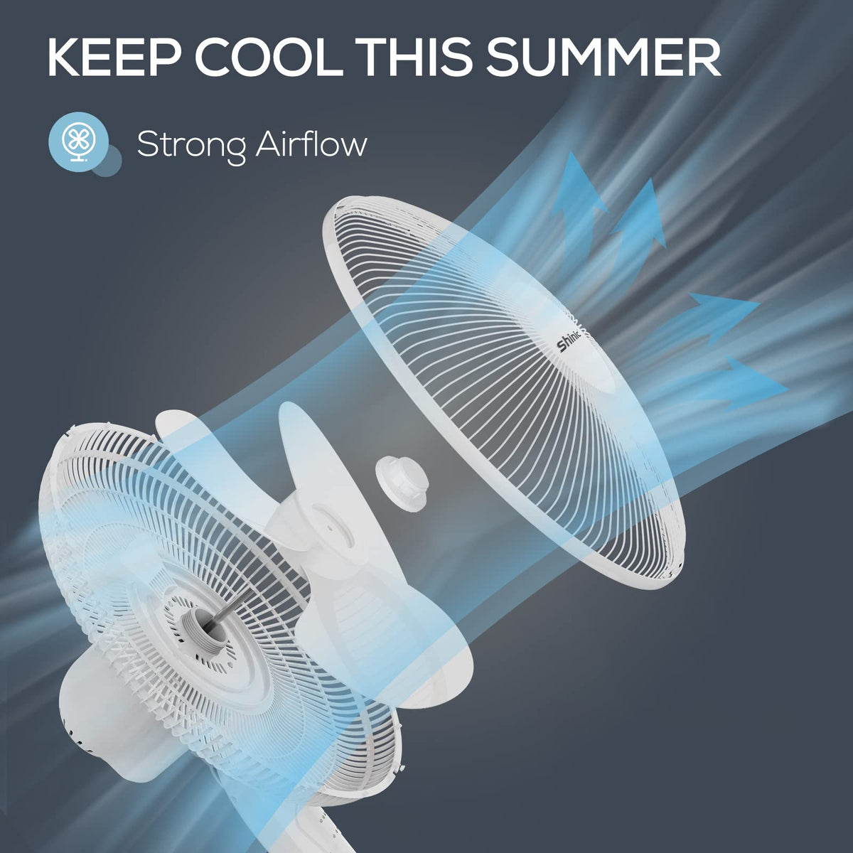 16'' Oscillating Pedestal Fan with Remote L492465