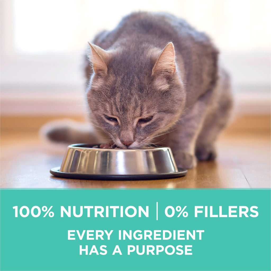 Sensitive Skin and Stomach Dry Cat Food 3.5 lb Bag A29141