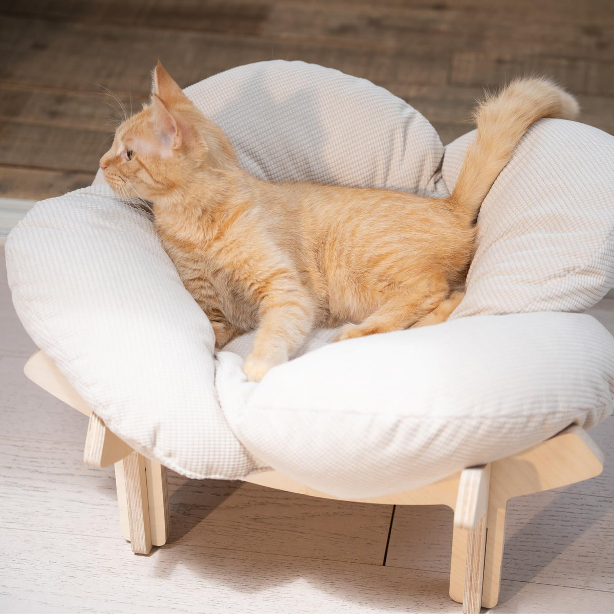 Elevated Cat Bed J53721