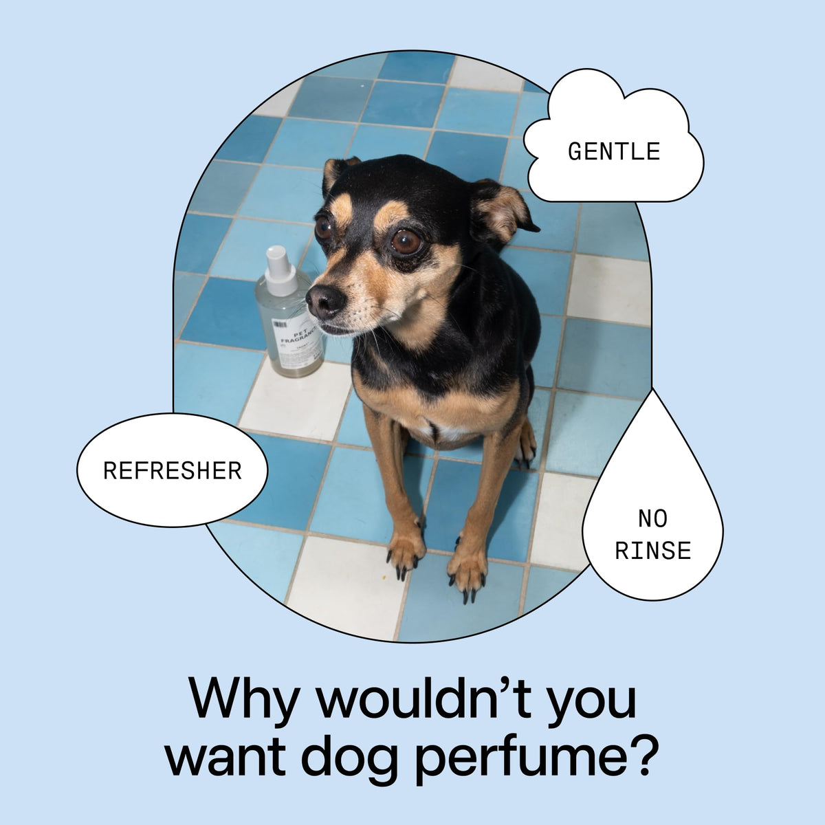 Pet Shampoo & Fragrance Bundle Dog Grooming Set V447