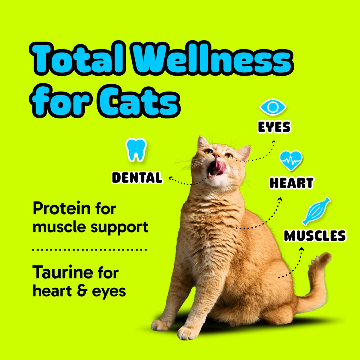 Cat Dental Chew Stick Bites Supplement with Taurine Z79123