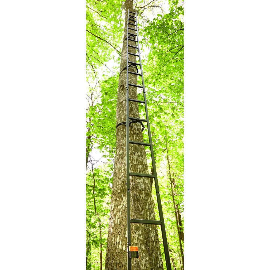 Climbing Ladder Z16822