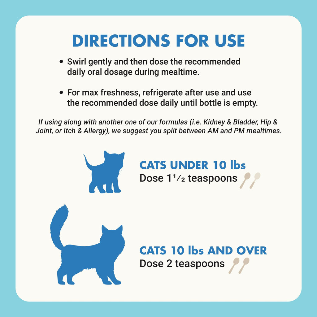 Cat Teeth Cleaning Dental Care T3857
