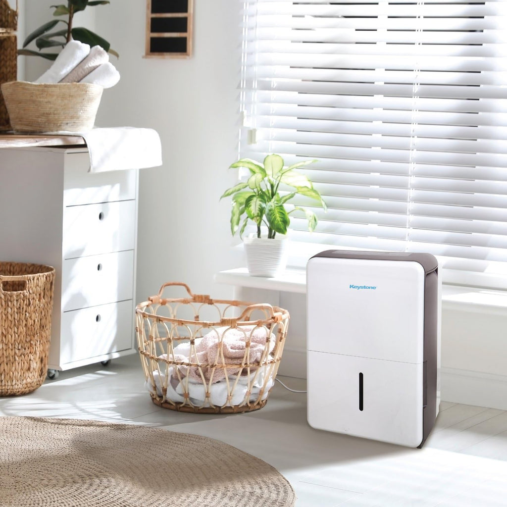50-Pint Portable Dehumidifier with Auto-Shutoff and Timer Y81795