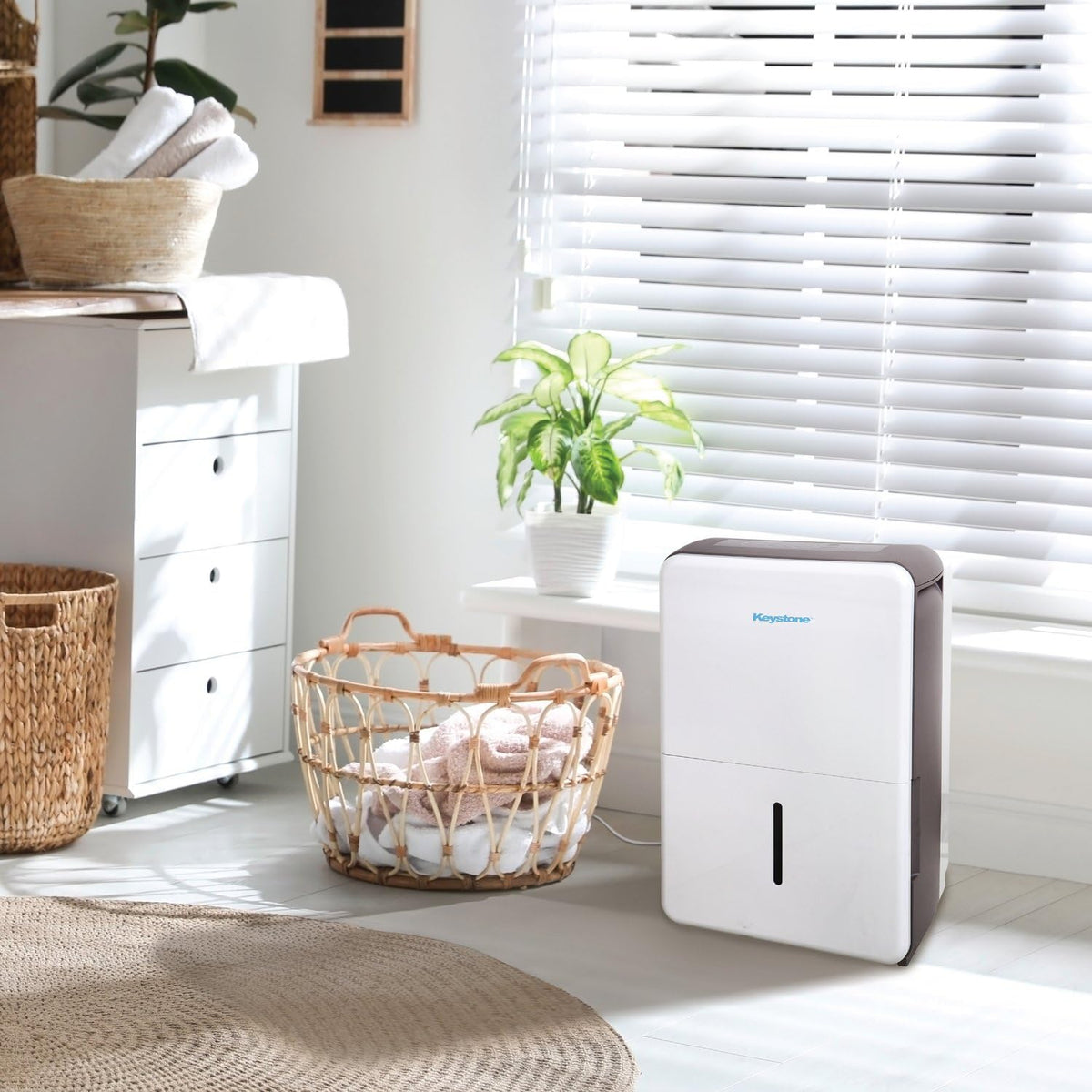 50-Pint Portable Dehumidifier with Auto-Shutoff and Timer Y81795