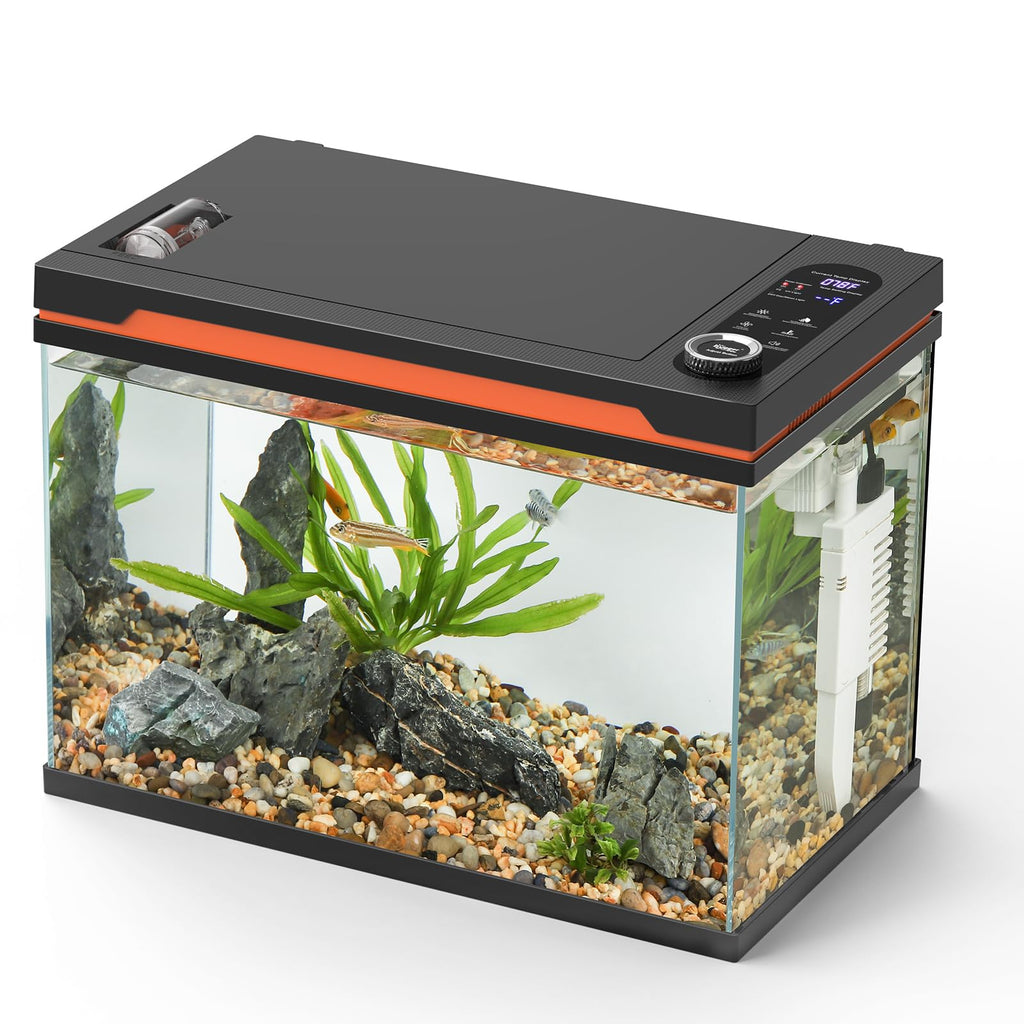 10 Gallon Glass Aquarium Starter Kit with Light Heater Pump Filter B73291