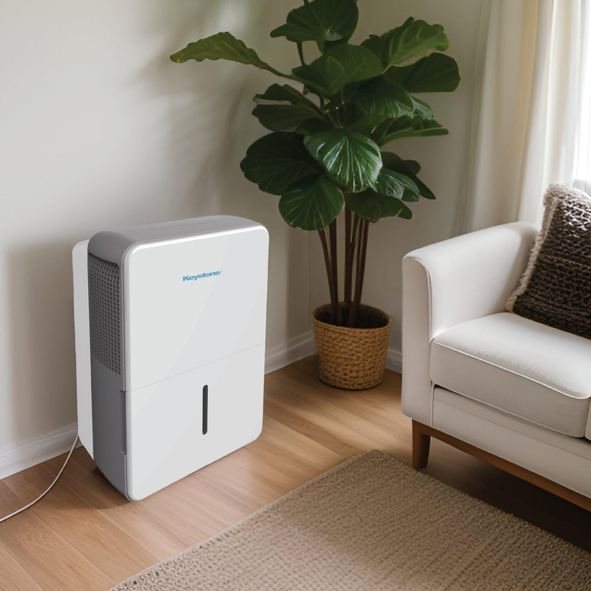 50-Pint Portable Dehumidifier with Auto-Shutoff and Timer Y81795