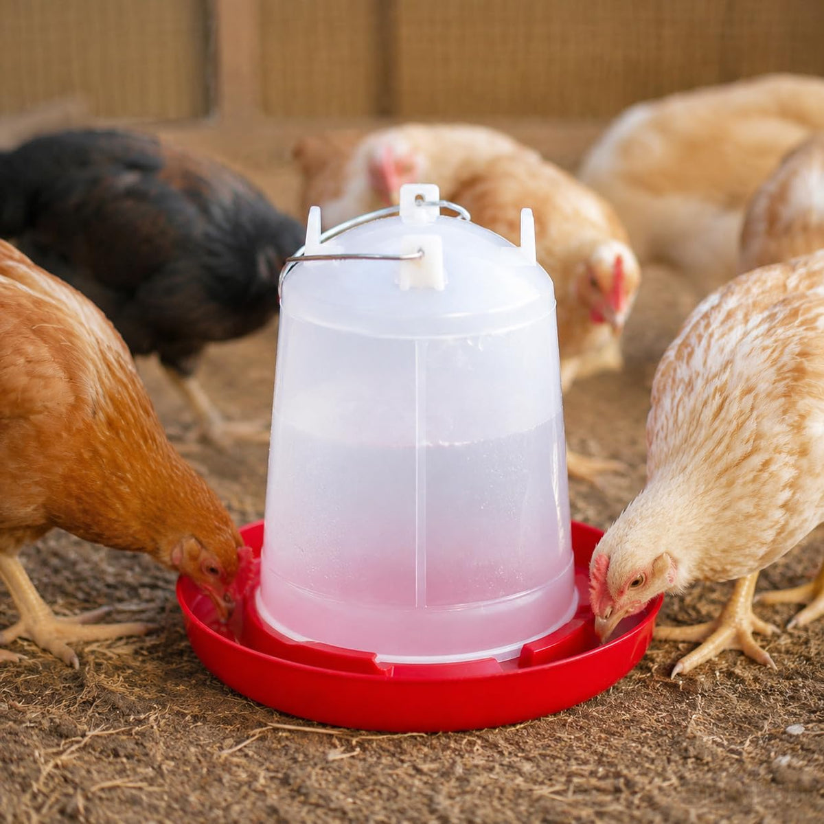 2 Pack 2 Gallon Poultry Waterer J738