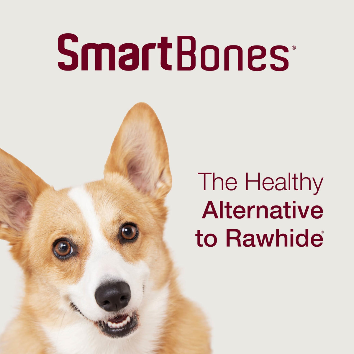 Mini Rawhide-Free Chews for Dogs M5128