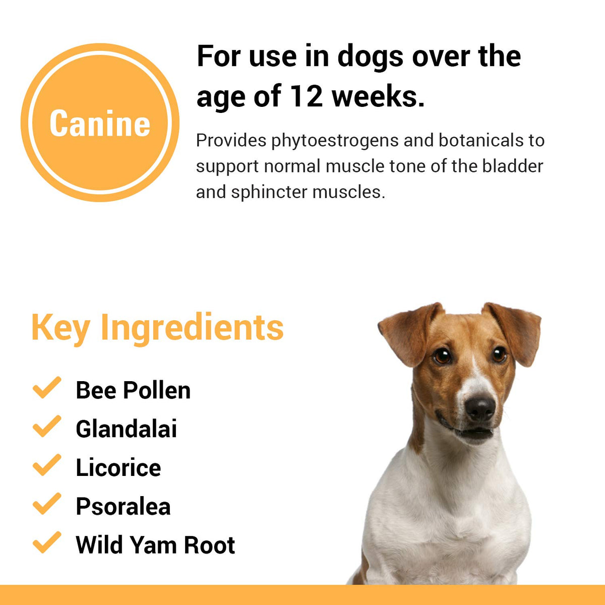Dog Supplement 120 Count S5077