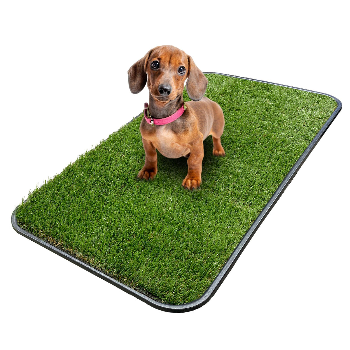 Artificial Grass Puppy Potty Training Pad with Tray, 15" x 30" Reusable H30563