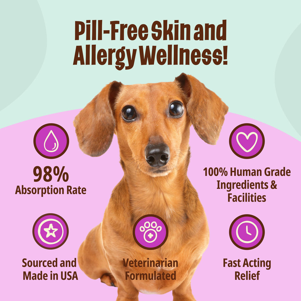 Omega-3 Fish Oil for Senior Dogs T480219