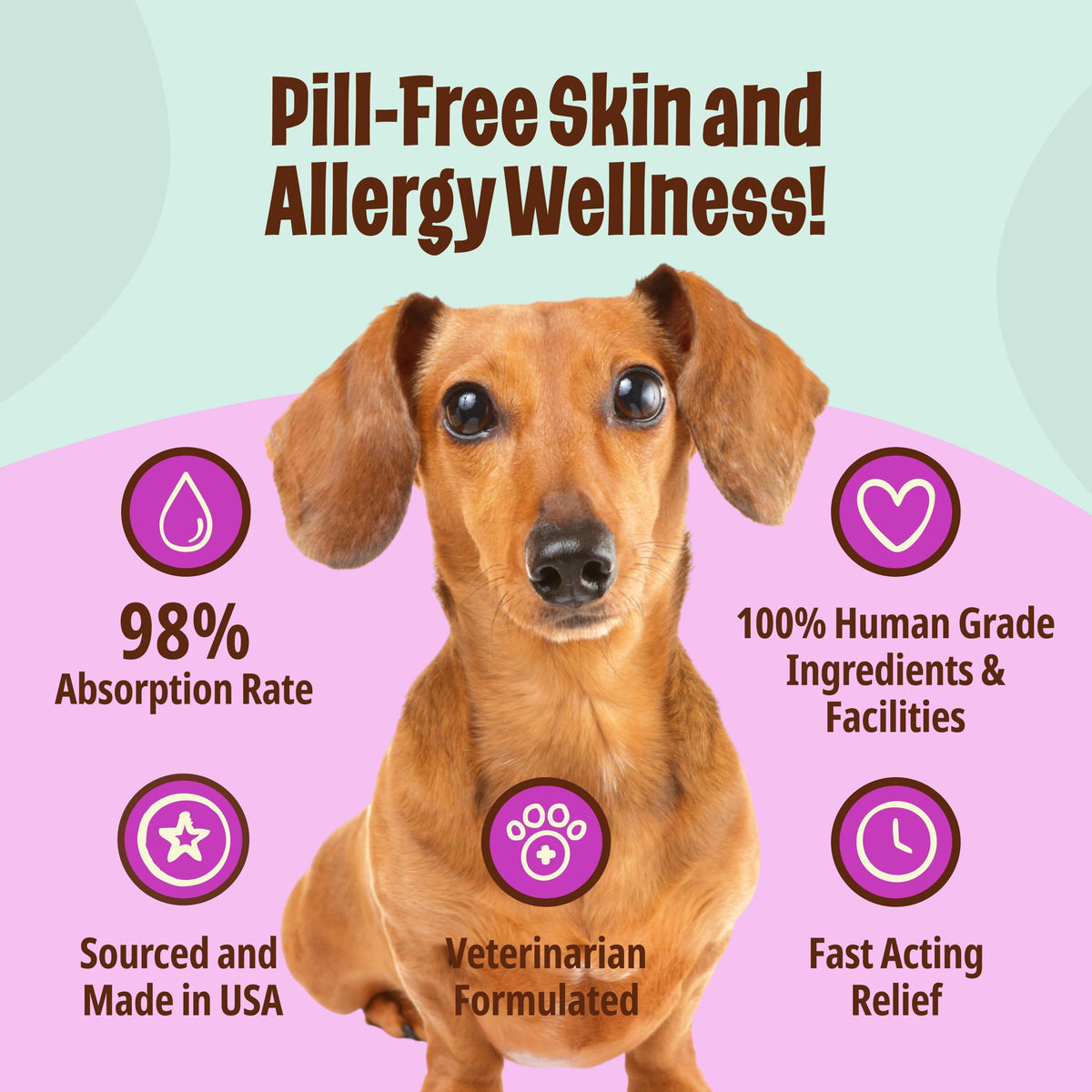 Omega-3 Fish Oil for Senior Dogs T480219