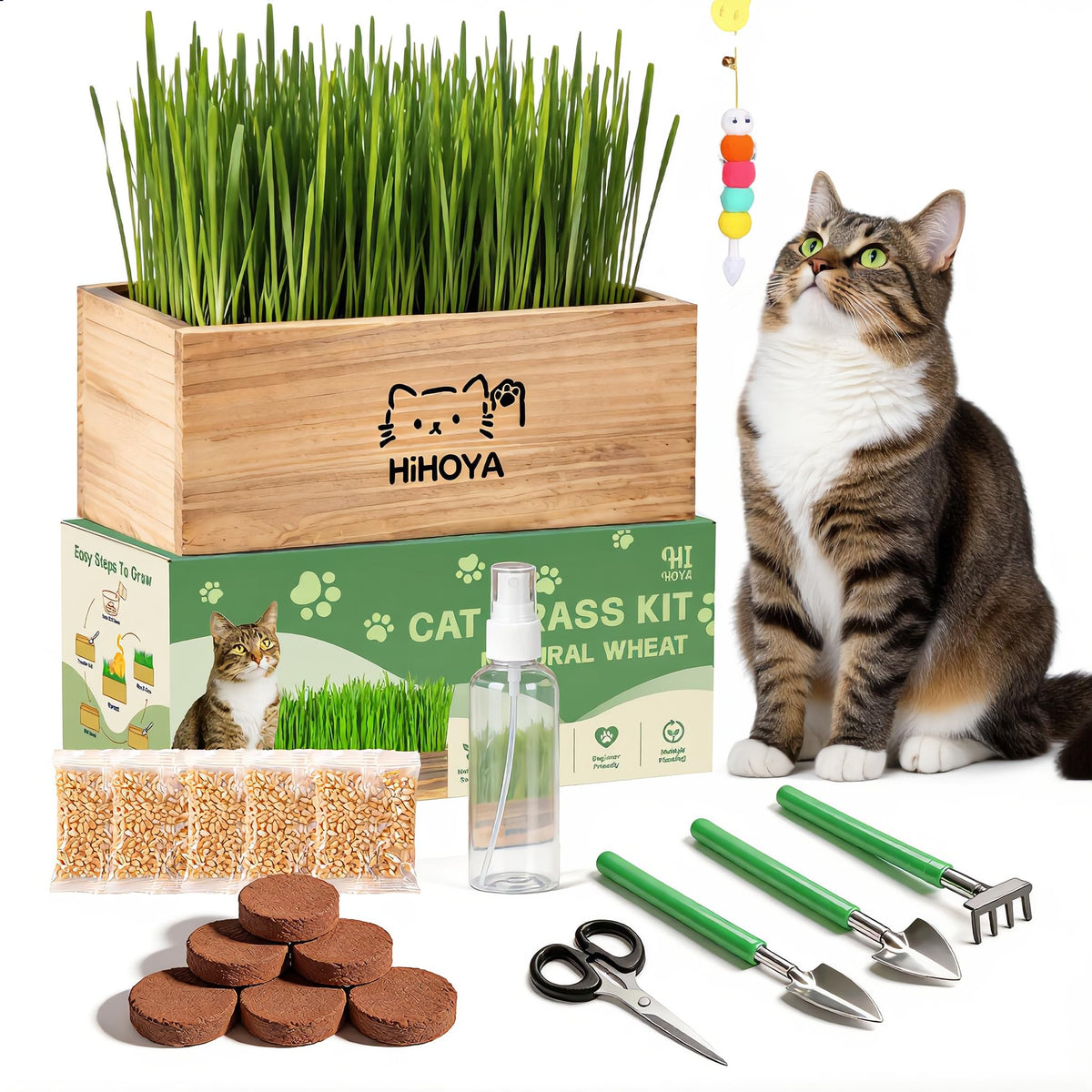 Cat Grass Kit with 5 Packets of Seeds, Wooden Planter, 6 Soil Discs, Trimming Scissors, Spray Bottle, and Mini Tools G534617