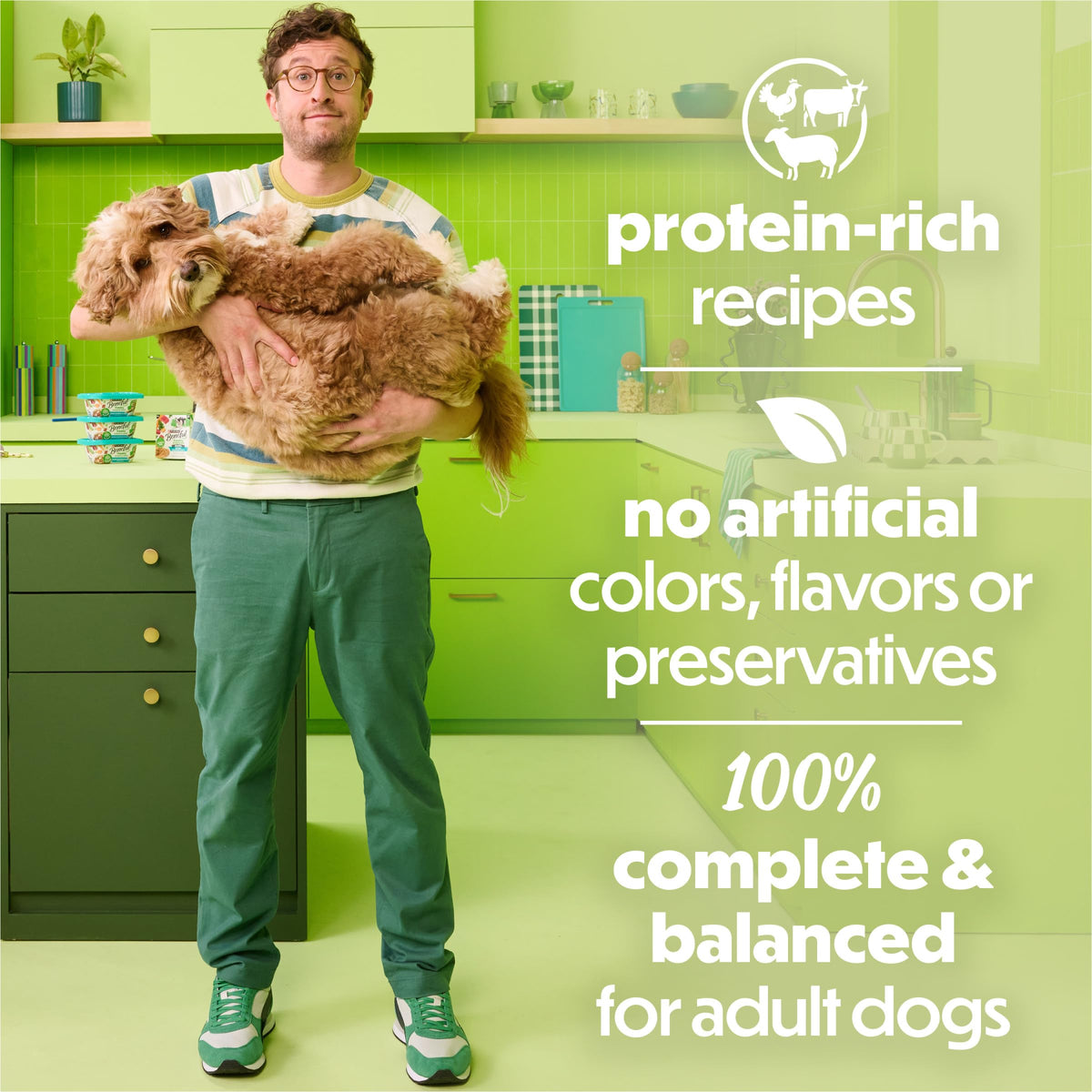 Wet Dog Food 12 10 oz Tub W82041