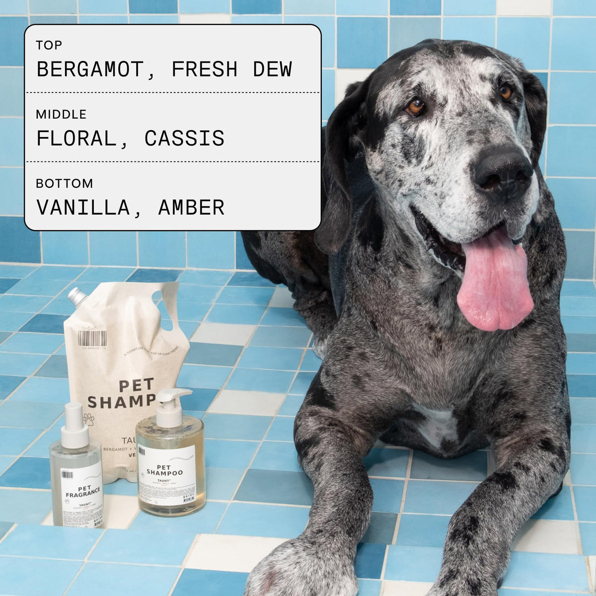 Pet Shampoo & Fragrance Bundle Dog Grooming Set V447