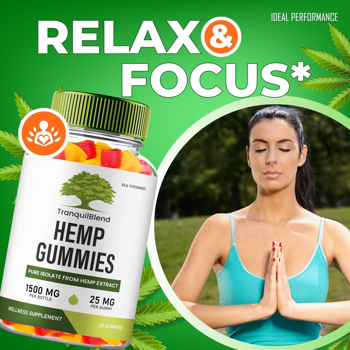 60 Gummies Hemp Gummies with Hemp Seeds Organic Extract R845