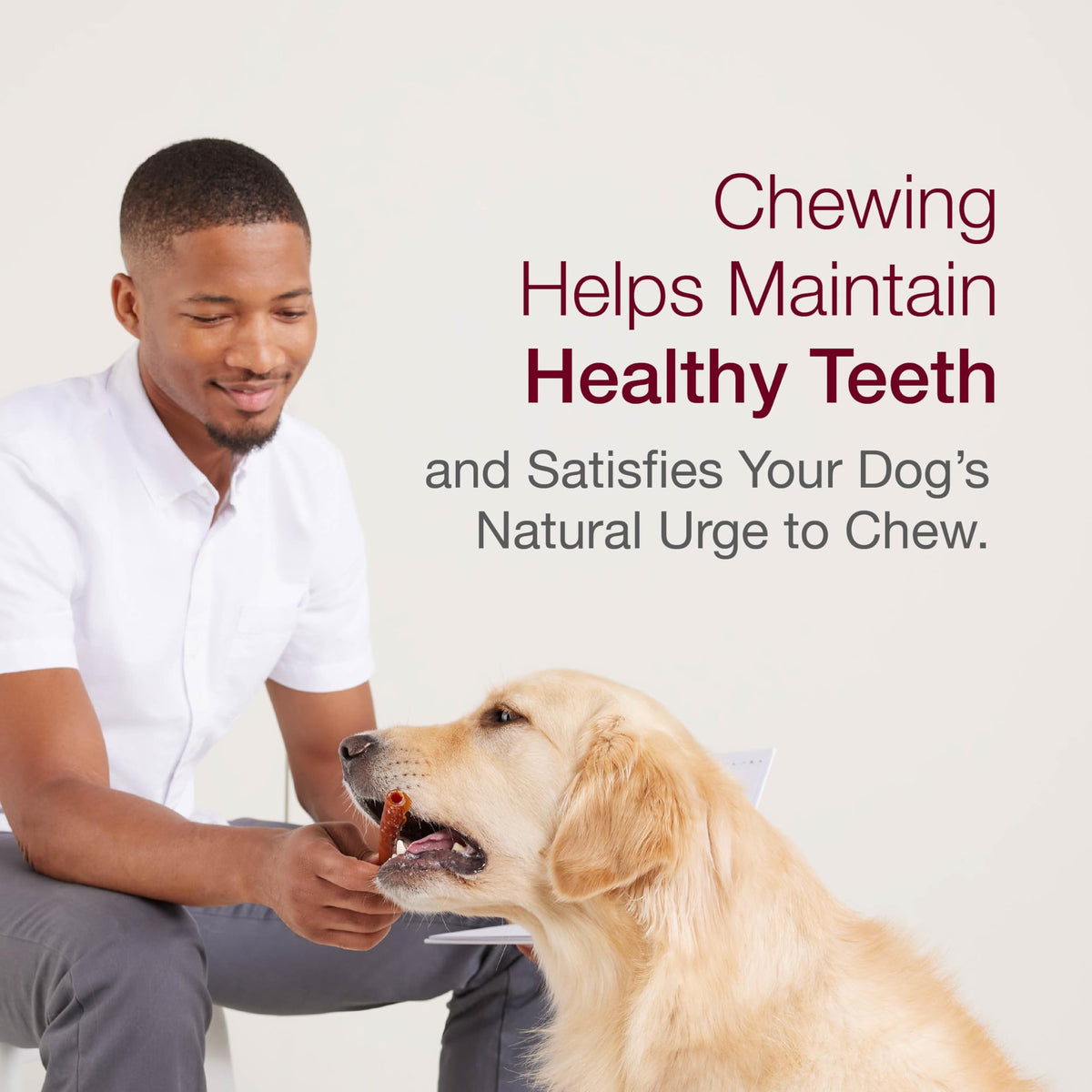 Mini Rawhide-Free Chews for Dogs M5128