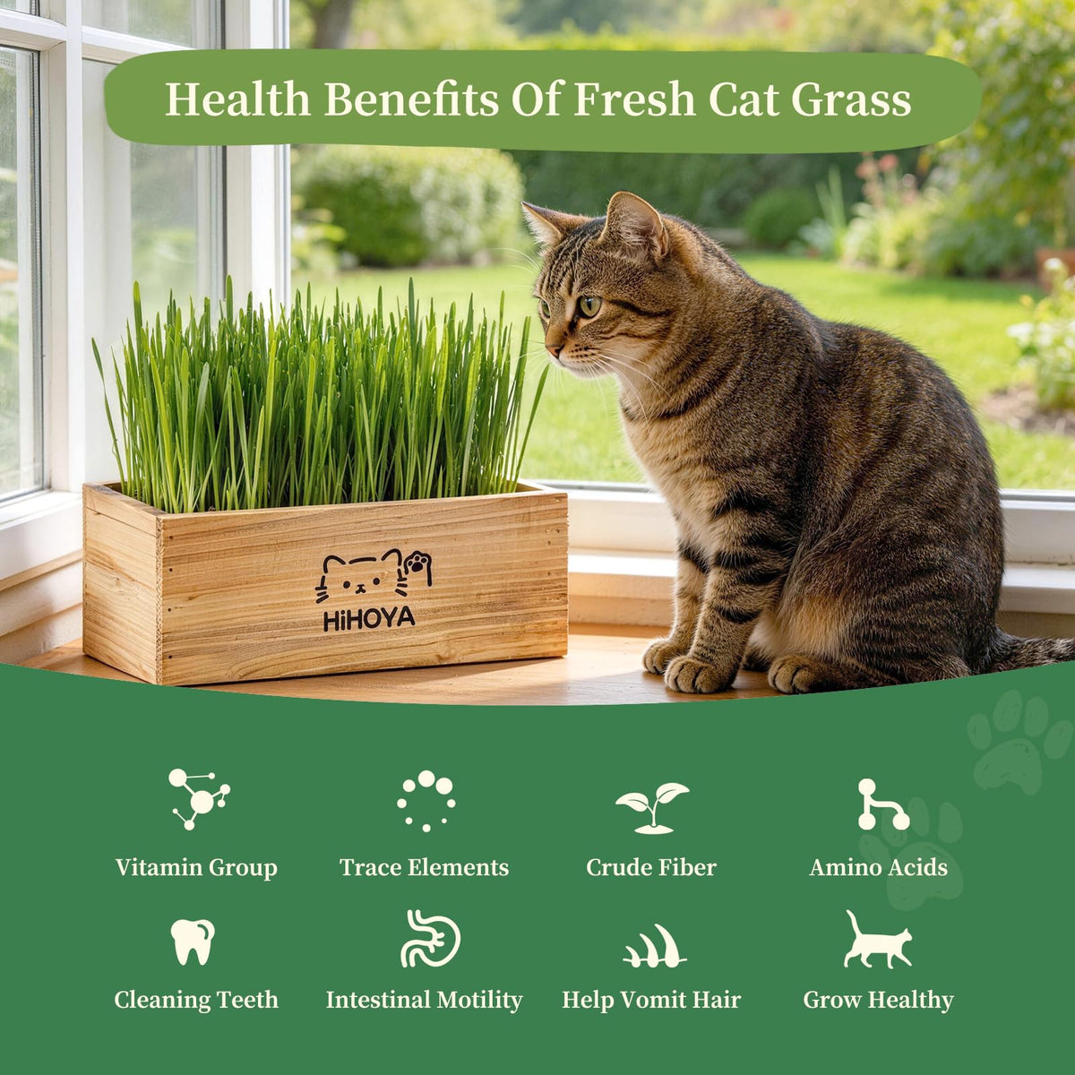Cat Grass Kit with 5 Packets of Seeds, Wooden Planter, 6 Soil Discs, Trimming Scissors, Spray Bottle, and Mini Tools G534617