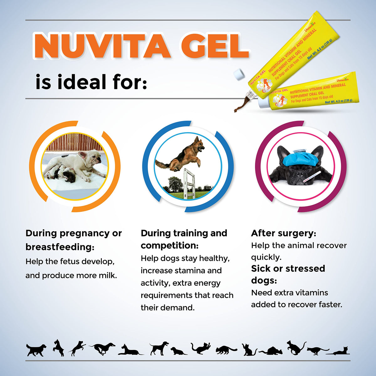 Nutritional Vitamin Gel for Dogs and Cats 4.2 oz L2365
