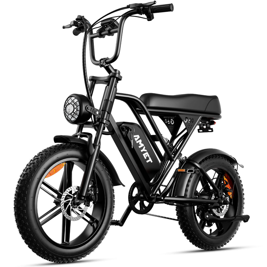 20'' Fat Tire Electric Bike O5941