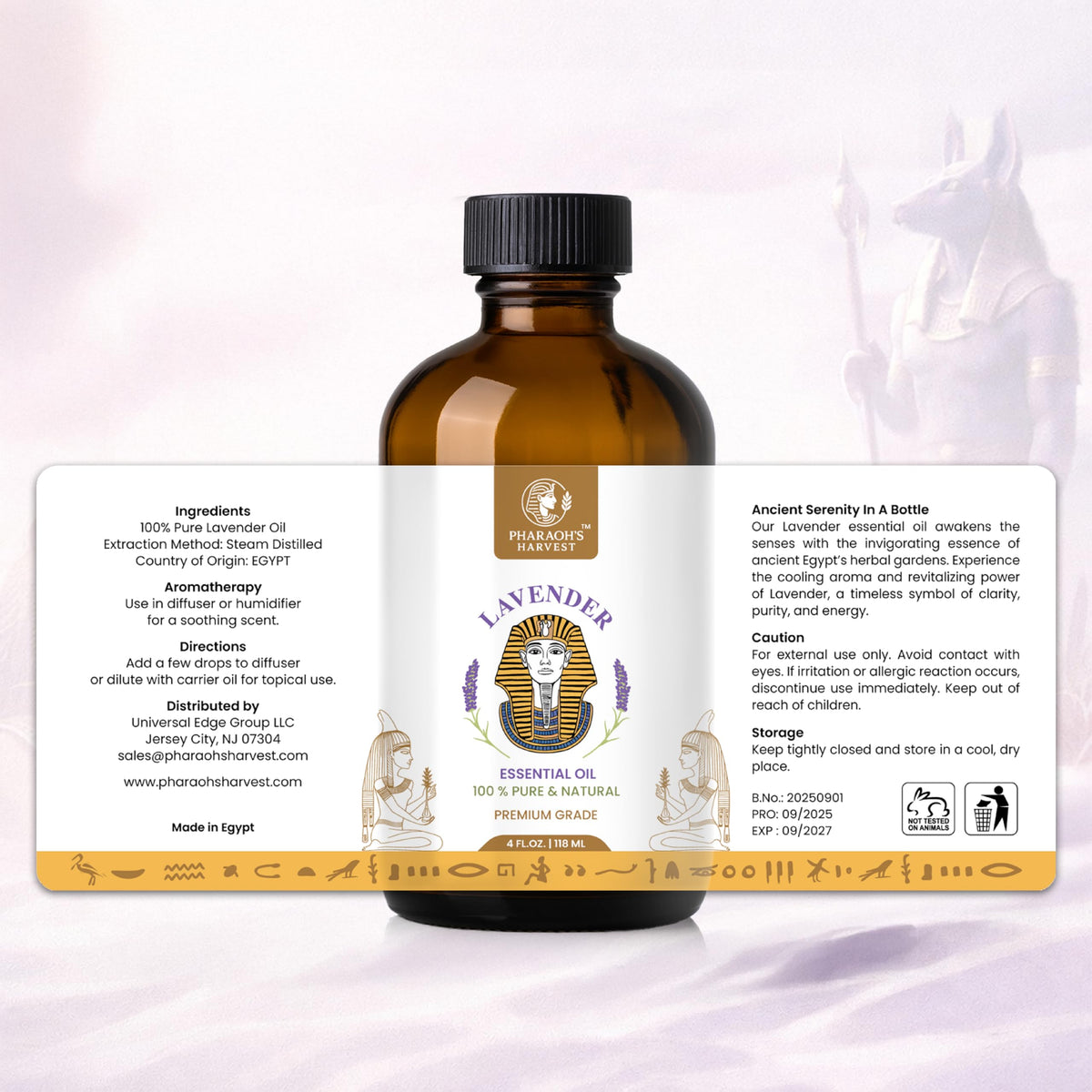 Lavender Essential Oil 4 Fl Oz E50240