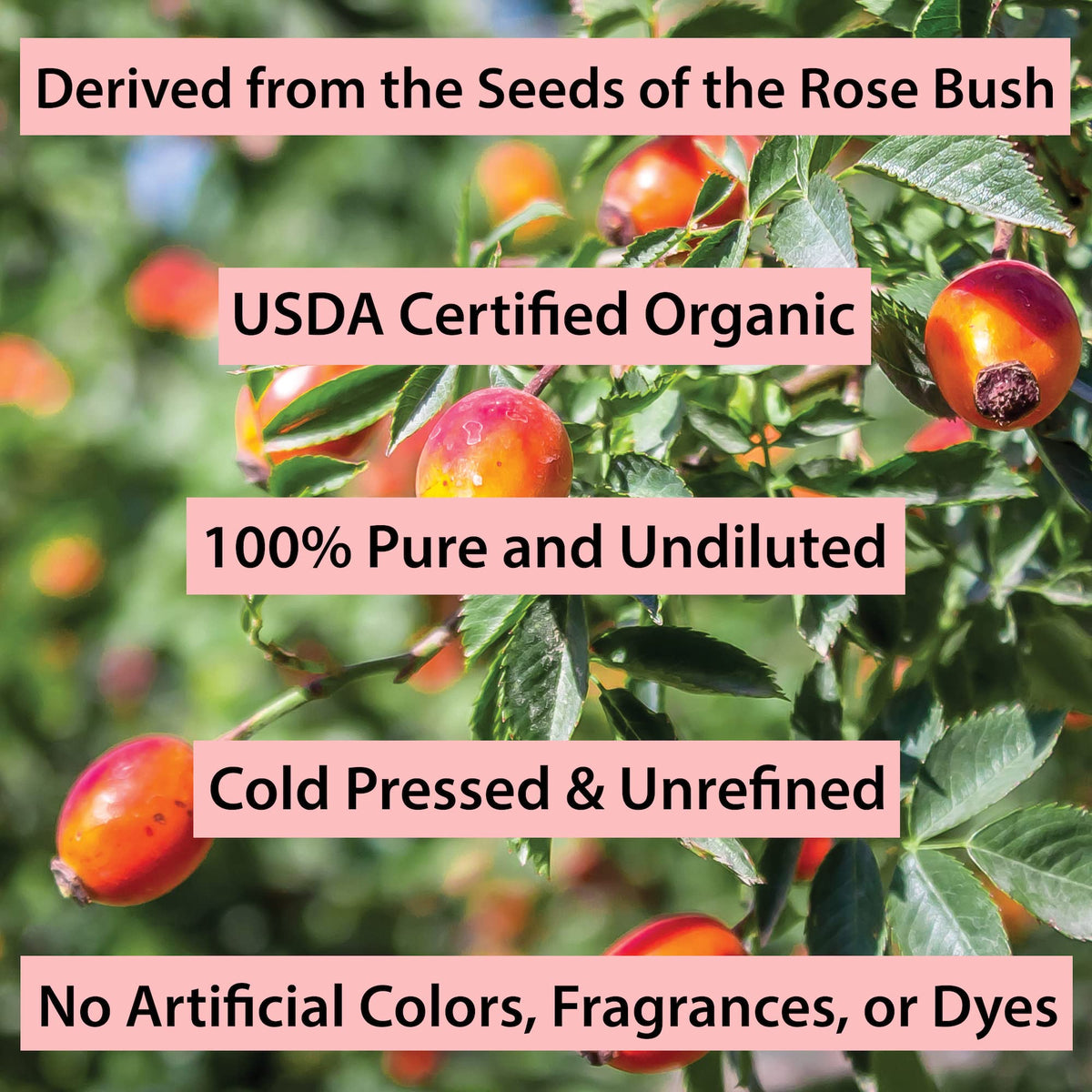 Cold Pressed Rosehip Seed Oil 1 Oz T664196