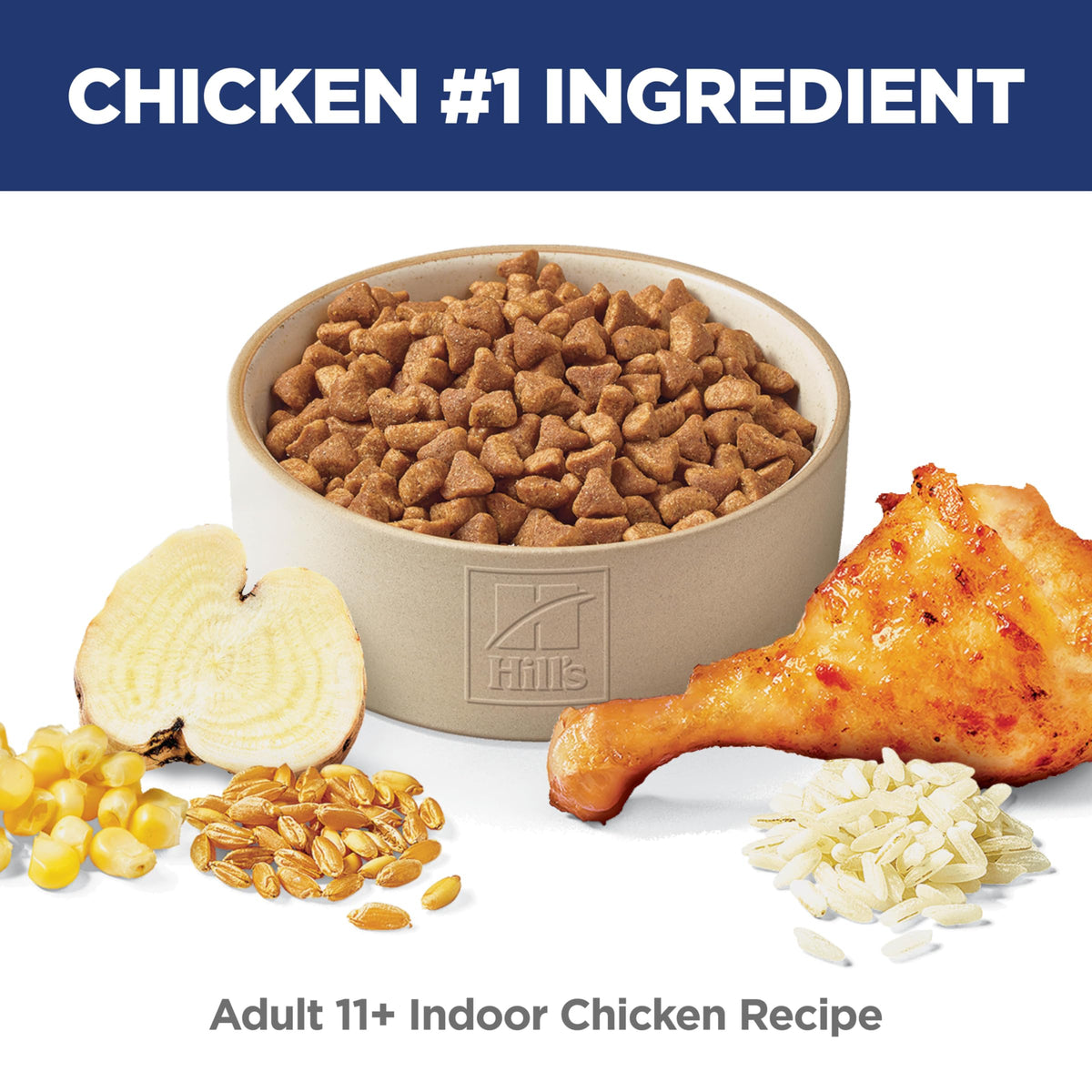 Indoor Dry Cat Food B7291