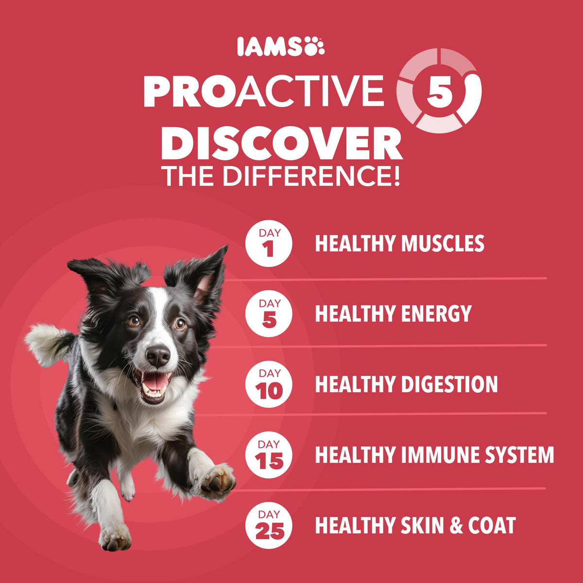 Lamb & Rice Dry Dog Food 30 lb Z9853