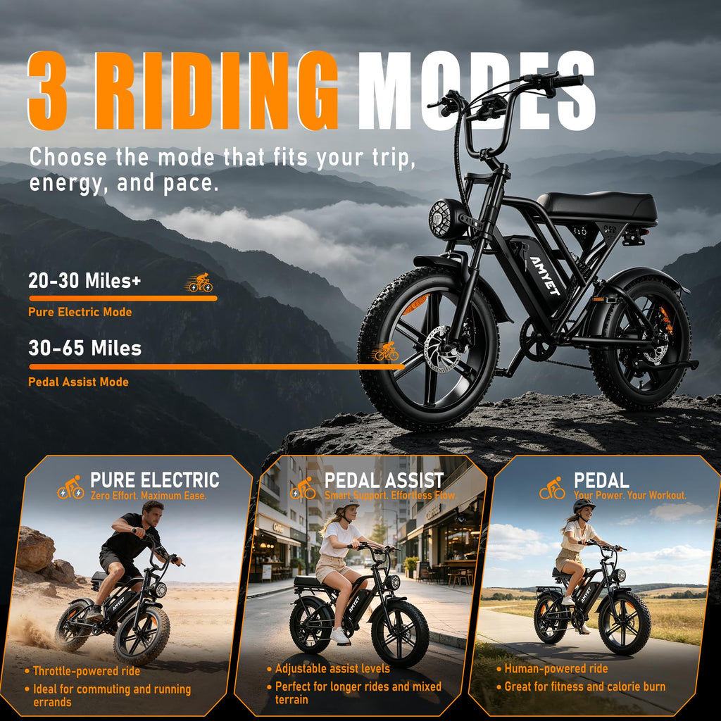 20'' Fat Tire Electric Bike O5941