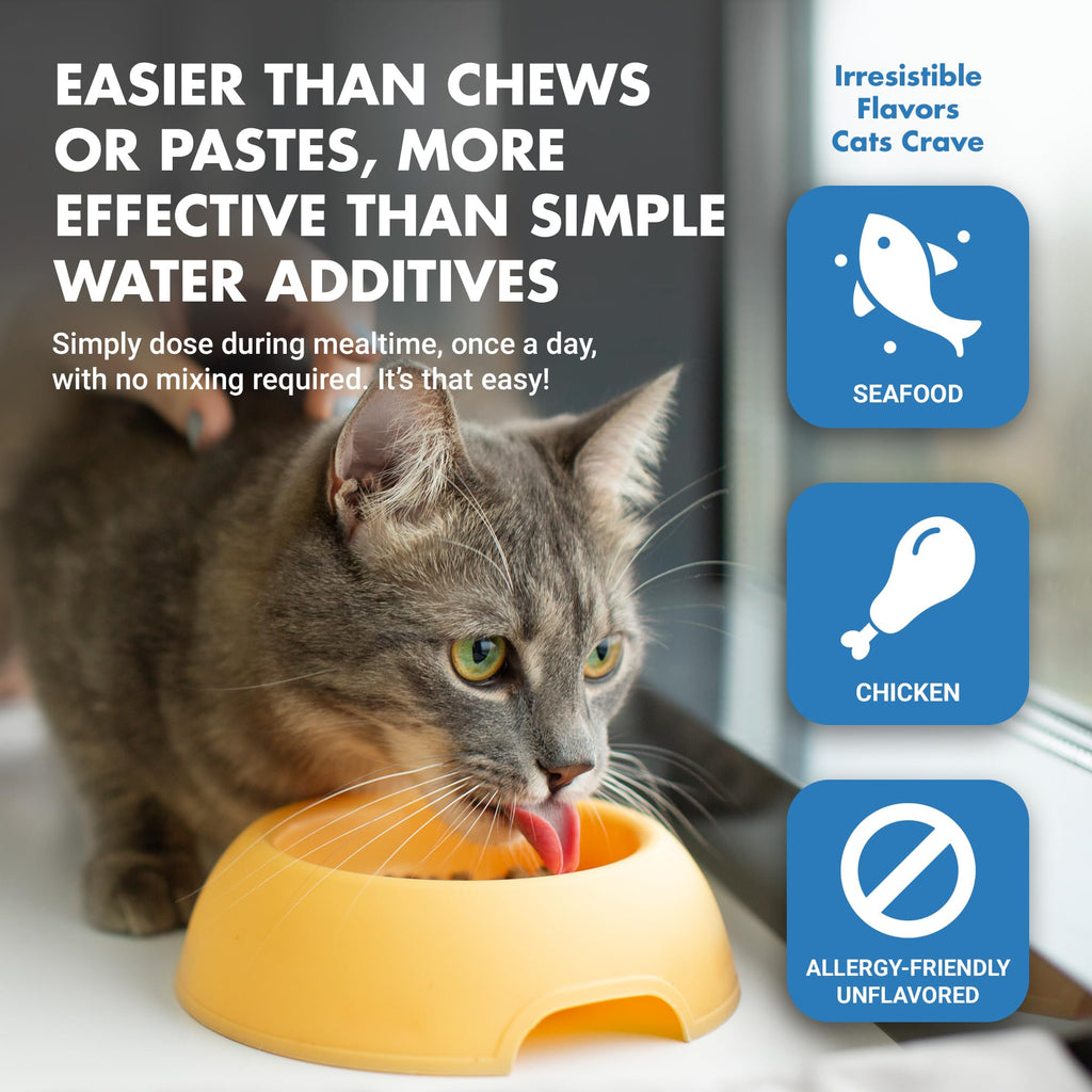 Cat Teeth Cleaning Dental Care T3857