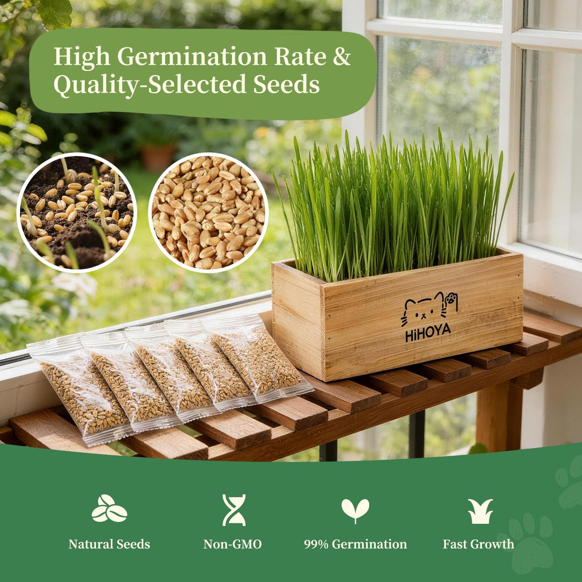 Cat Grass Kit with 5 Packets of Seeds, Wooden Planter, 6 Soil Discs, Trimming Scissors, Spray Bottle, and Mini Tools G534617