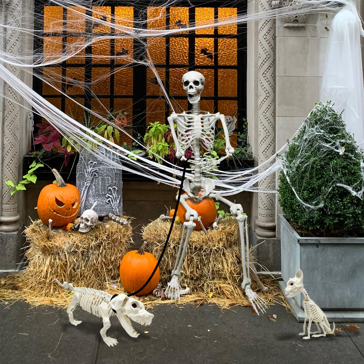 5.4Ft Posable Halloween Skeleton with Dog Cat Skeleton I800