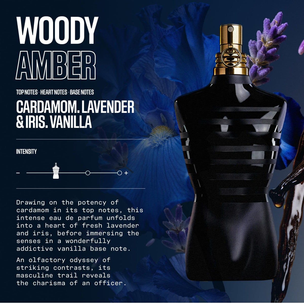 Le Male Le Parfum D94993