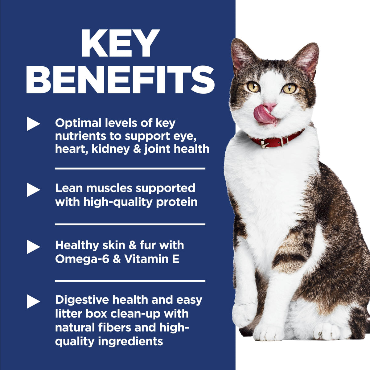Indoor Dry Cat Food B7291
