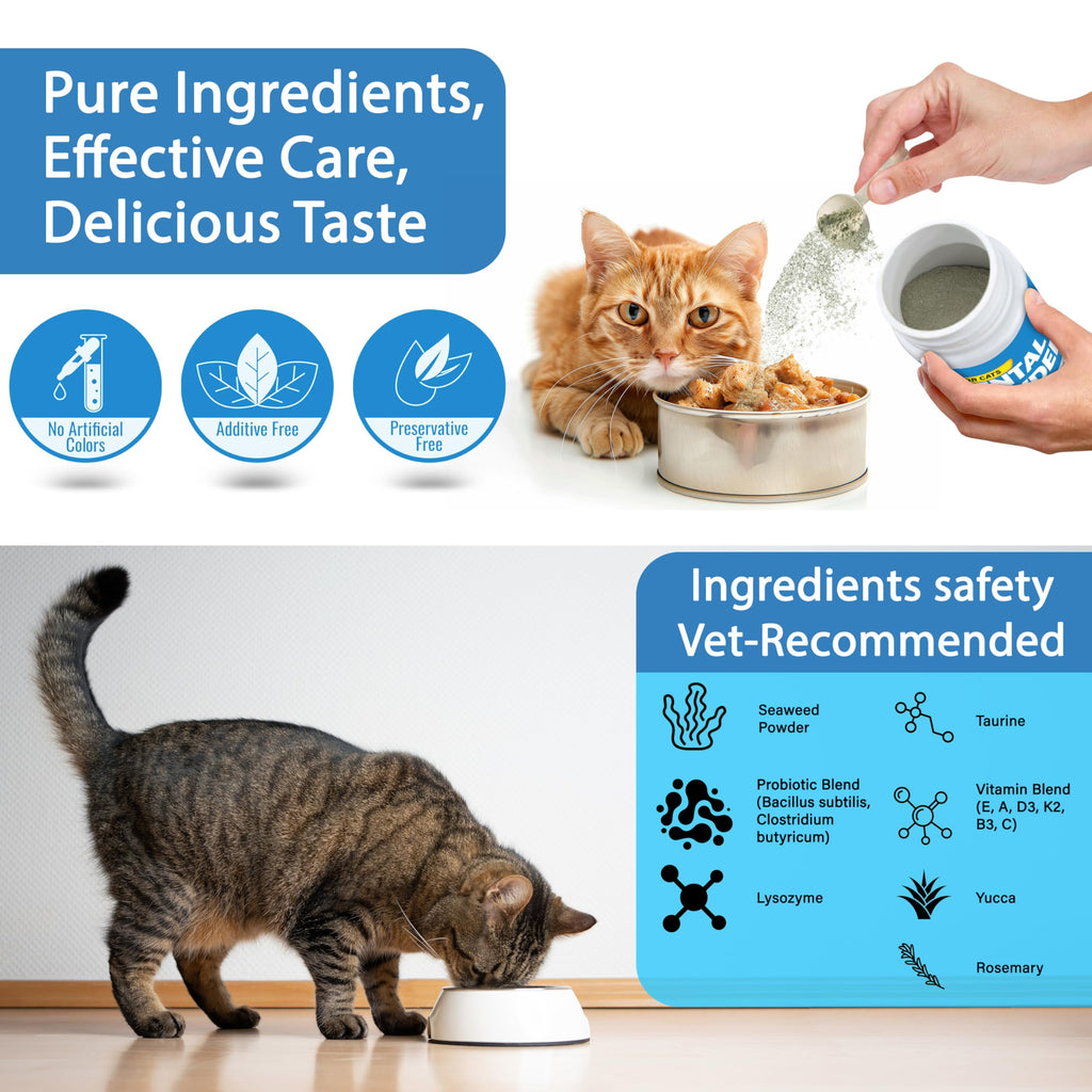 Cat Dental Powder F34956