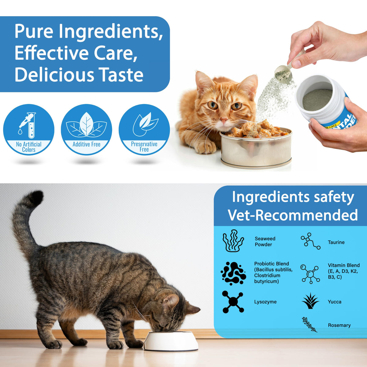 Cat Dental Powder F34956