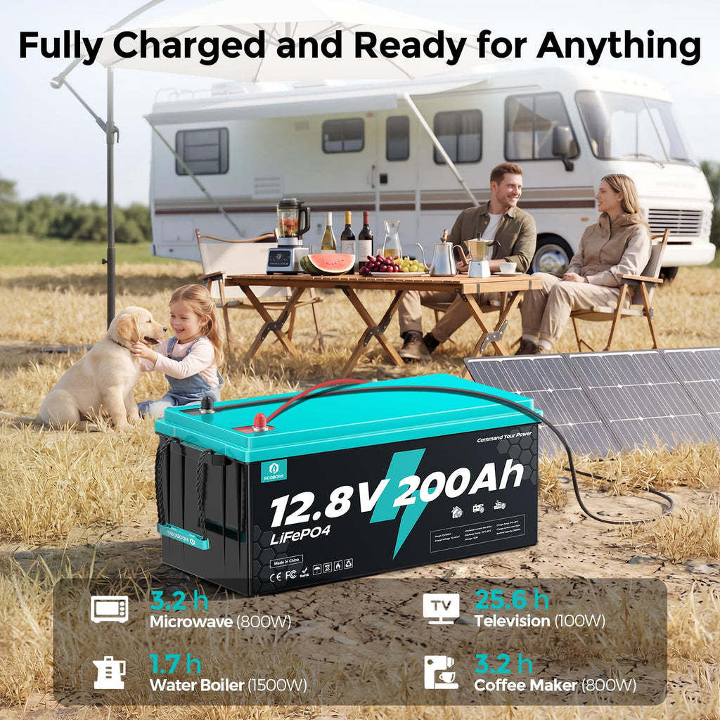 12V 200Ah LiFePO4 Battery N48983
