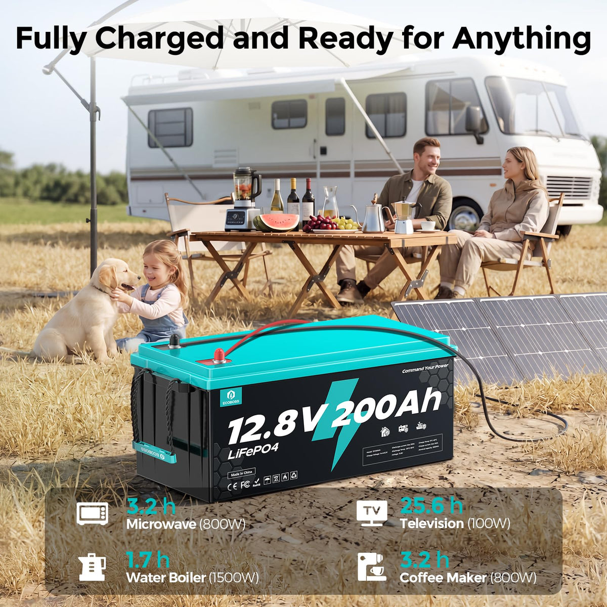 12V 200Ah LiFePO4 Battery N48983