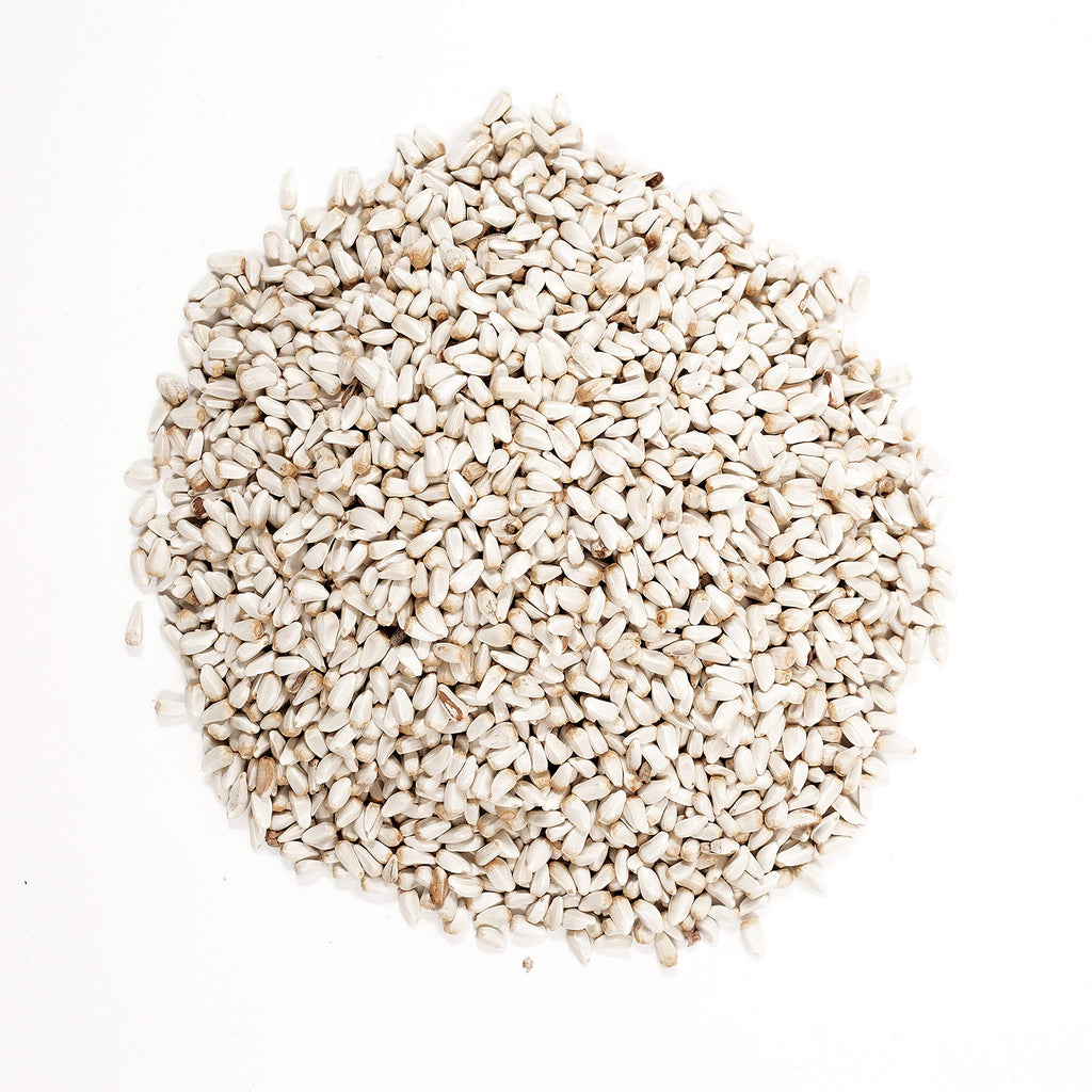 Nyjer and Safflower Bird Seed Bundle W794869