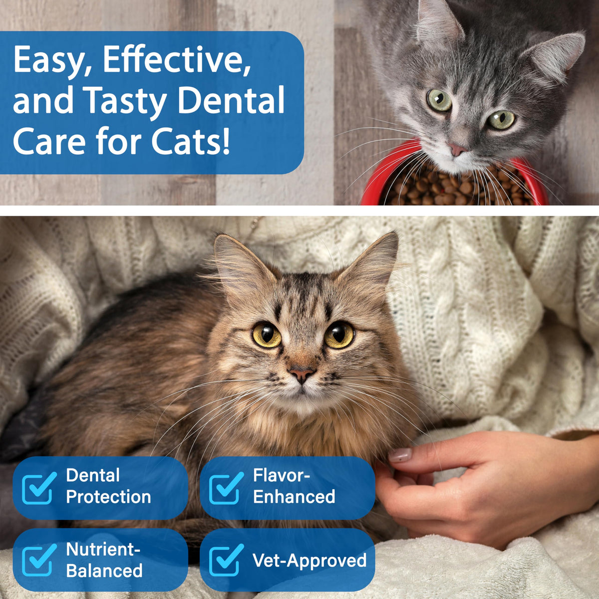 Cat Dental Powder F34956