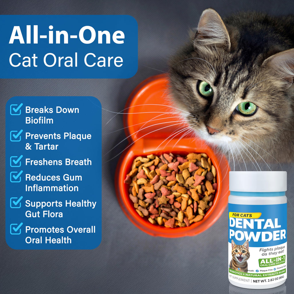Cat Dental Powder F34956